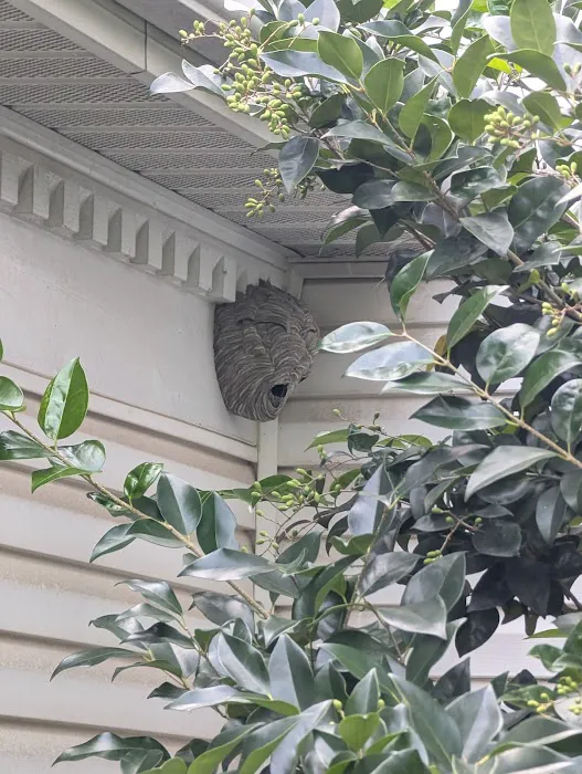 Moxie Pest Control Picture 8
