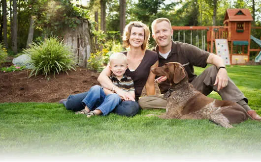Green Pest Services Picture 8
