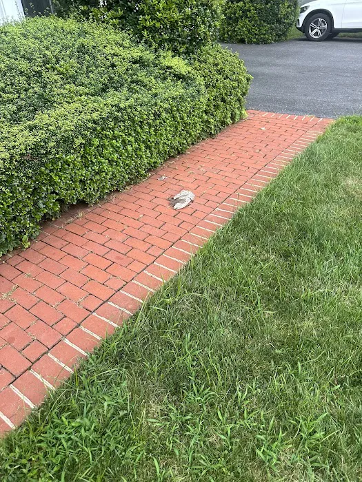 Green Pest Services Picture 5