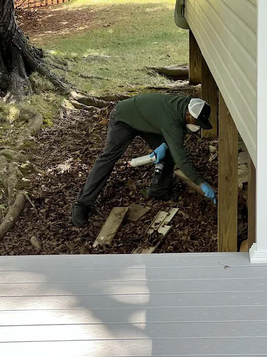 Green Pest Services Picture 4