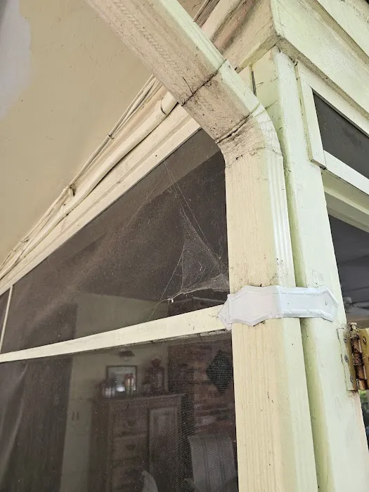 Green Pest Services Picture 3