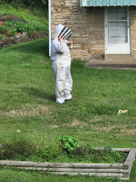 Bee Control Picture 7