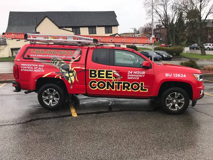 Bee Control Picture 8