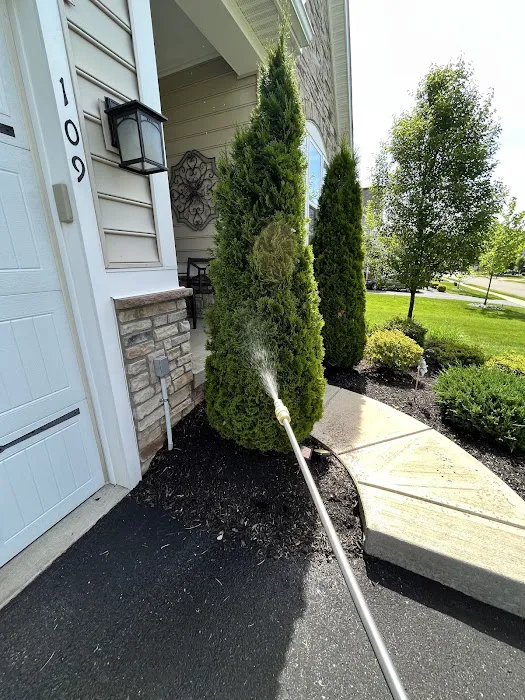 Aptive Pest Control Picture 2