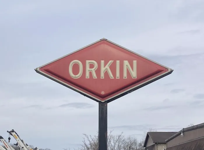 Orkin Picture 3
