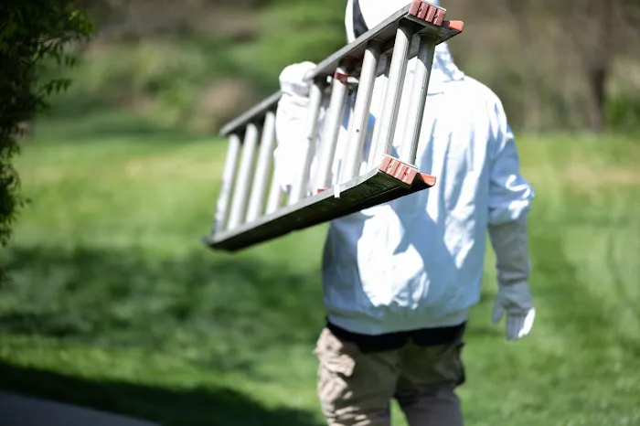 D-Bug Pest Control, Inc. Picture 1