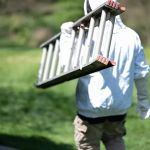 D-Bug Pest Control, Inc.