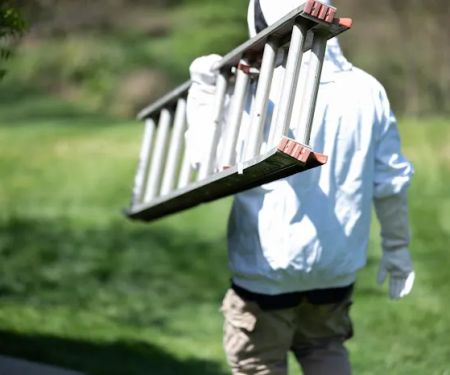 D-Bug Pest Control, Inc.