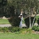 Steve Tabor Pest Control