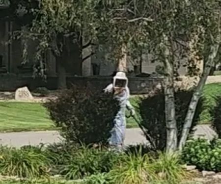 Steve Tabor Pest Control