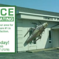 Grace Exterminating ico