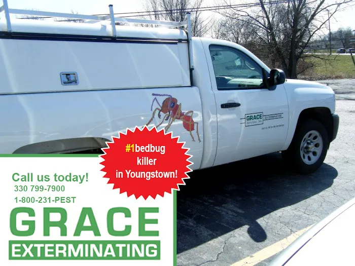 Grace Exterminating Picture 4