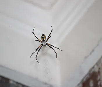 Structural Pest Management Inc. Picture 6
