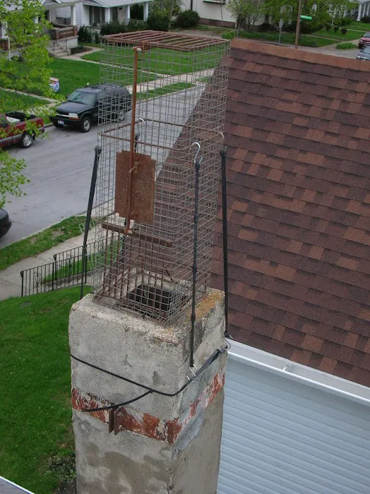 Youngstown Wildlife Removal Picture 4