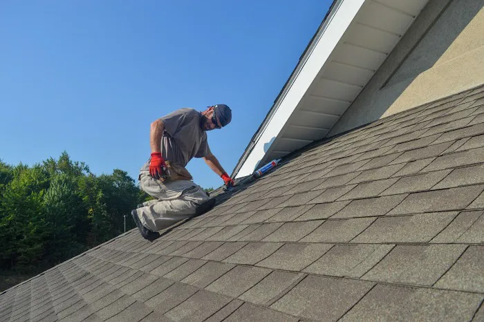 Complete Pest Solutions Picture 7