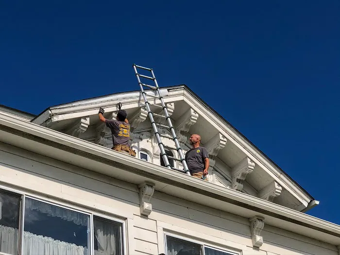 Complete Pest Solutions Picture 5