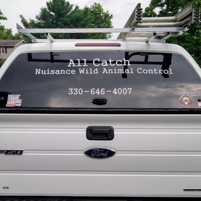 All Catch LLC nuisance wild animal control Picture 3