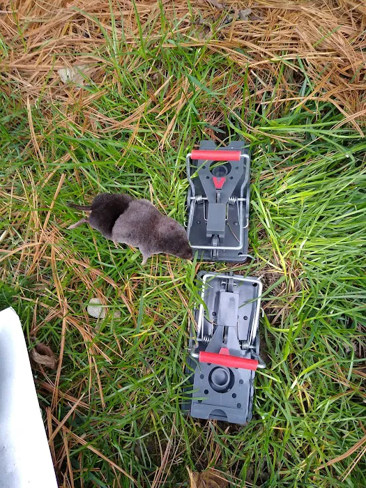 All Catch LLC nuisance wild animal control Picture 1