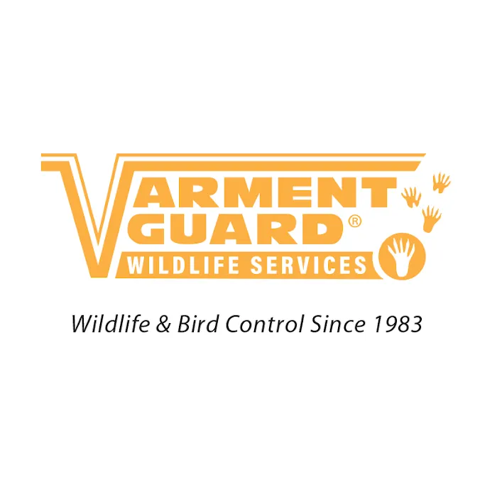 Varment Guard Wildlife Services Picture 6