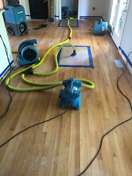 GearClean, Inc. Picture 10