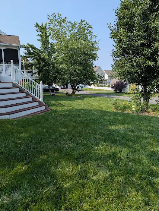 Weed Man Lawn Care Picture 10