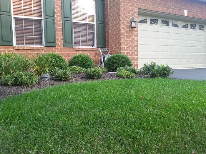 Weed Man Lawn Care Picture 2