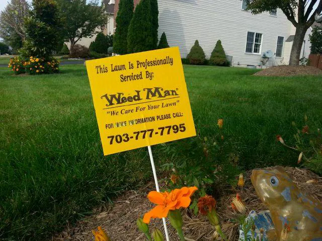 Weed Man Lawn Care Picture 1