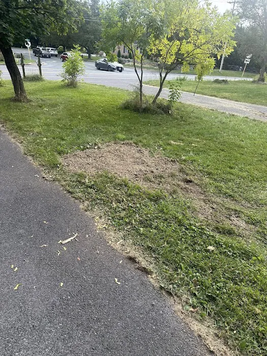 C & J Lawn Care Picture 3