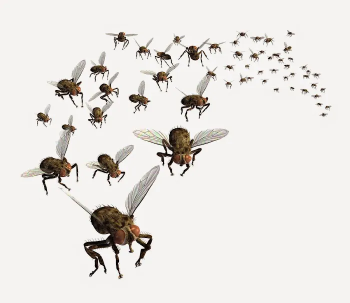 Best Exterminating Services Picture 1