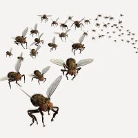 Best Exterminating Services ico