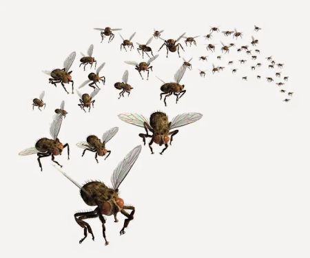 Best Exterminating Services