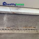 Healthy Homes Pest Control