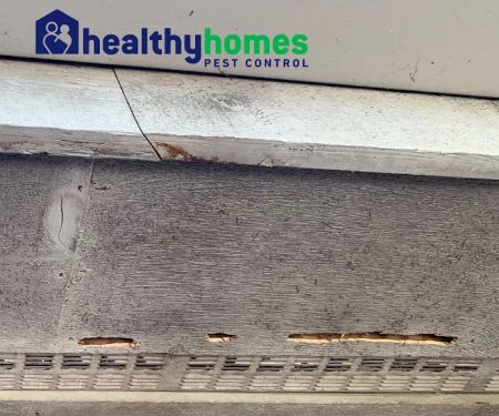 Healthy Homes Pest Control