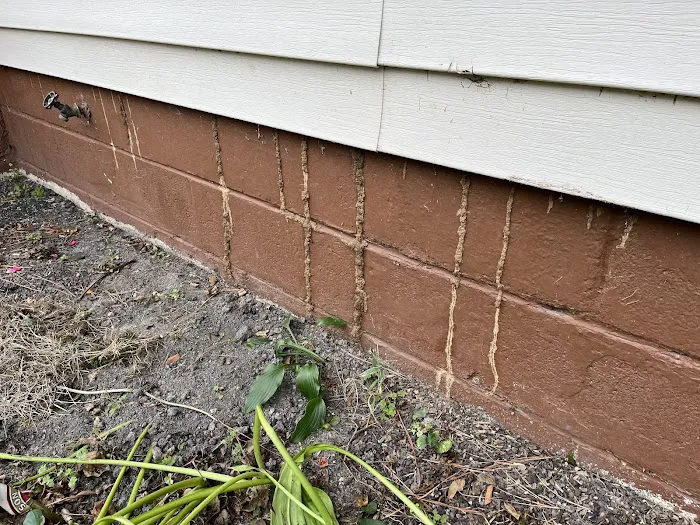 Healthy Homes Pest Control Picture 2