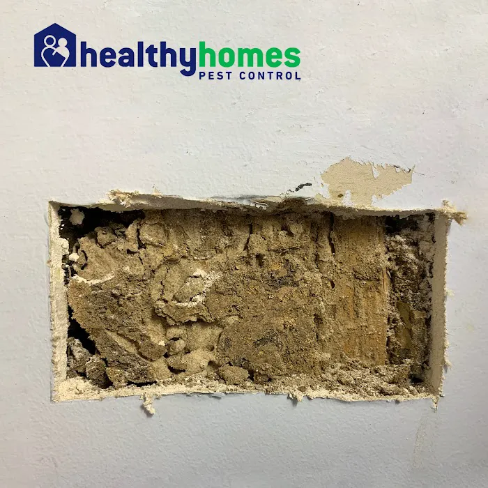 Healthy Homes Pest Control Picture 9
