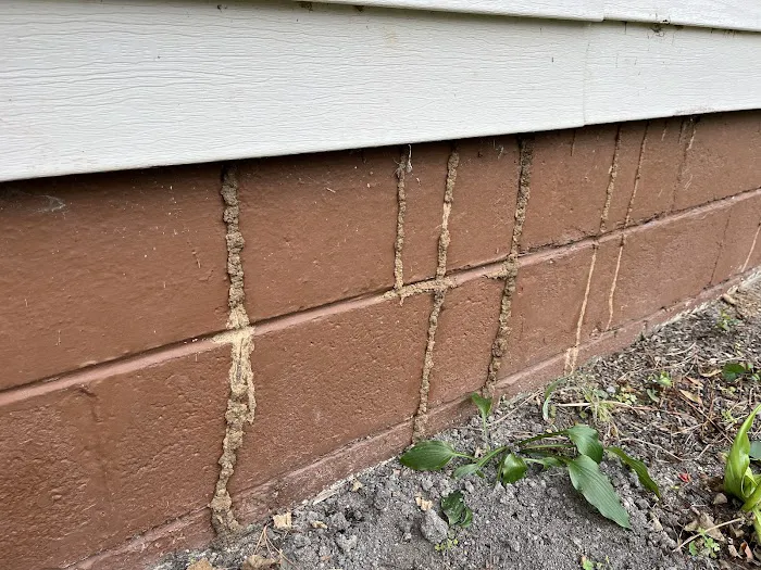 Healthy Homes Pest Control Picture 8
