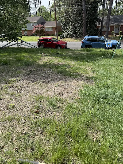 Virginia Green Lawn Care Picture 4