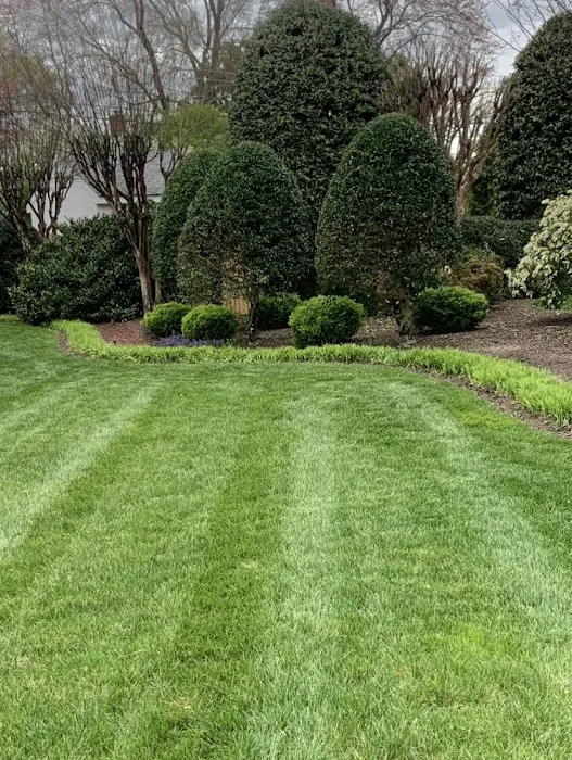 Virginia Green Lawn Care Picture 1
