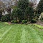 Virginia Green Lawn Care
