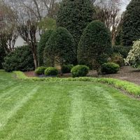 Virginia Green Lawn Care ico