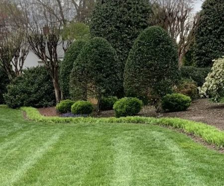 Virginia Green Lawn Care
