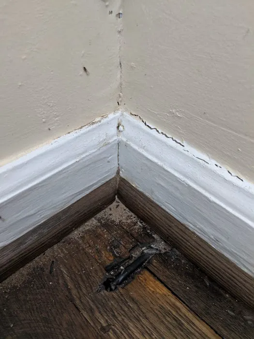 Bales Termite & Pest Control Picture 1