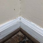 Bales Termite & Pest Control