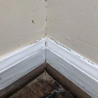 Bales Termite & Pest Control ico