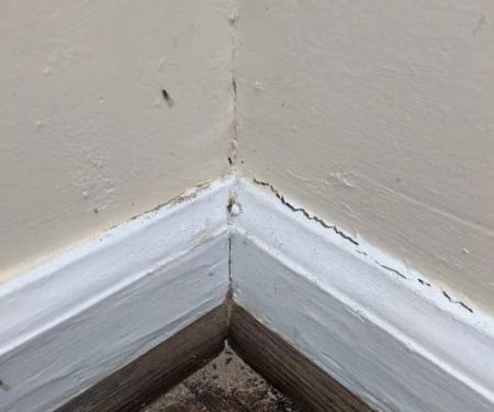 Bales Termite & Pest Control