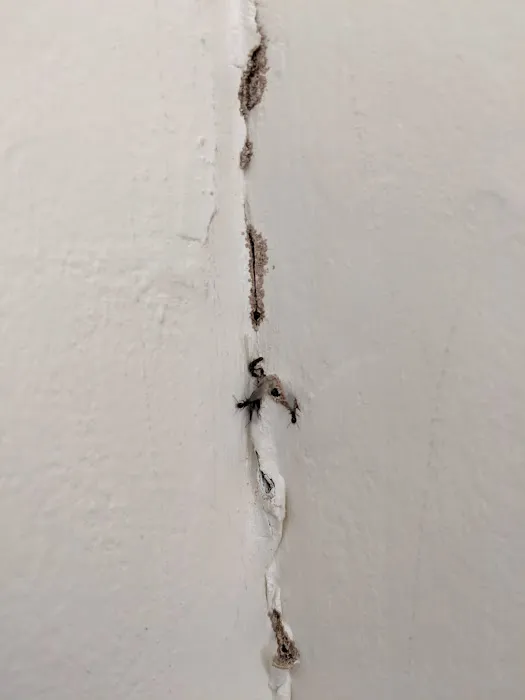 Bales Termite & Pest Control Picture 2