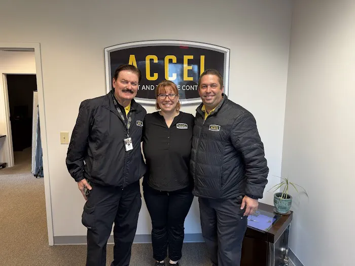 Accel Pest & Termite Control Picture 1