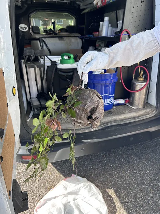 Accel Pest & Termite Control Picture 5