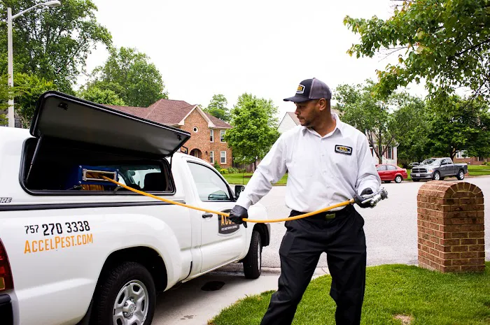 Accel Pest & Termite Control Picture 2