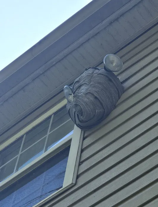 Accel Pest & Termite Control Picture 4
